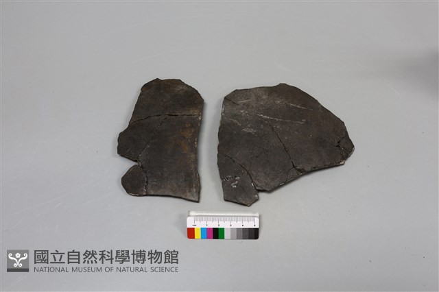 陶片藏品圖，第3張
