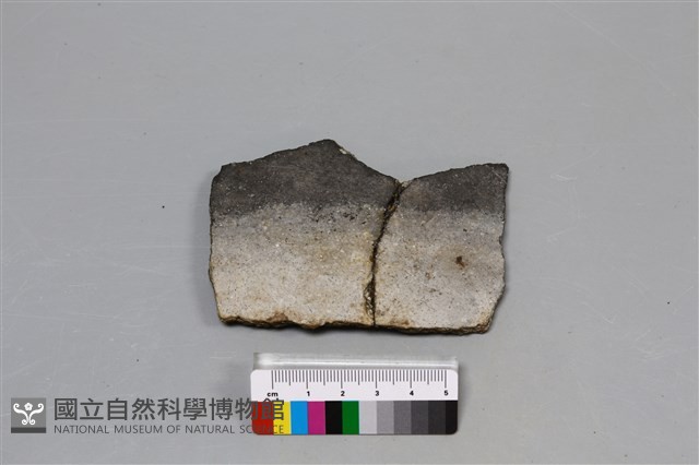 陶片藏品圖，第3張