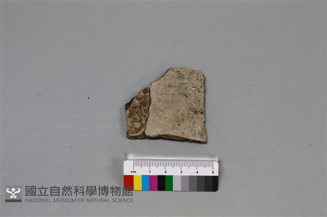 陶片藏品圖，第3張