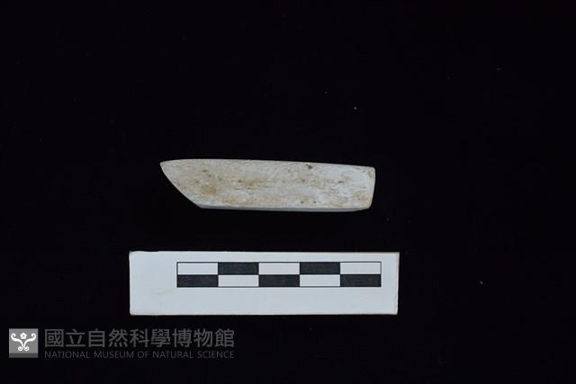 錛鑿形器藏品圖，第3張