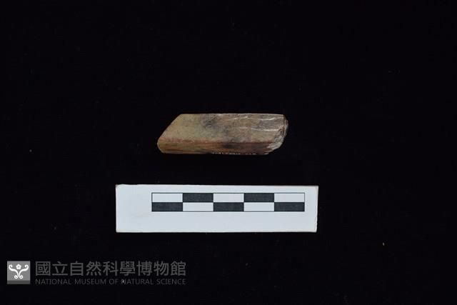 錛鑿形器藏品圖，第3張