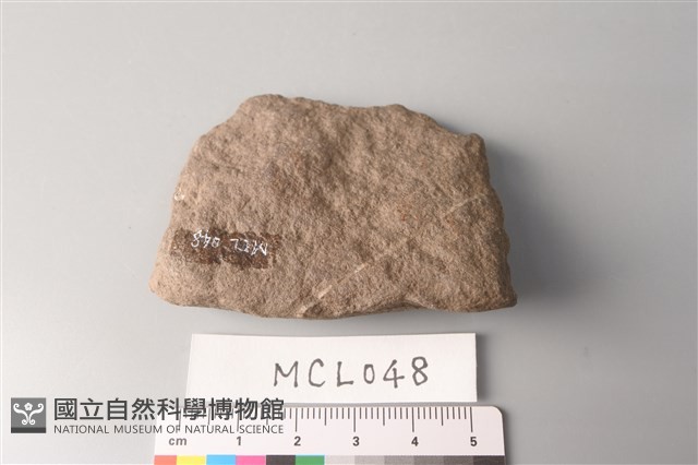 石片藏品圖，第3張