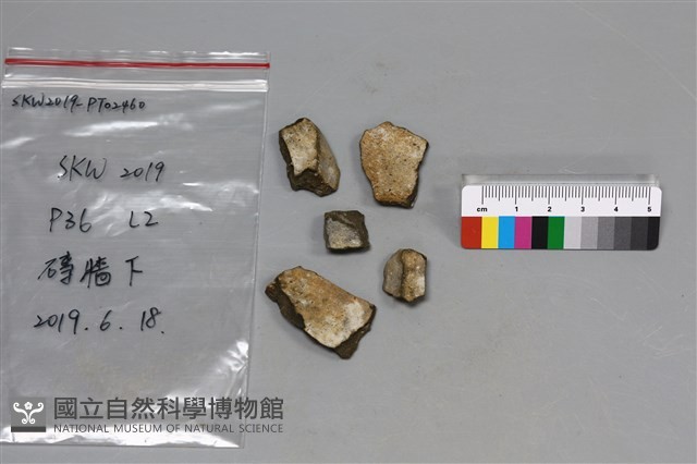 陶片藏品圖，第2張
