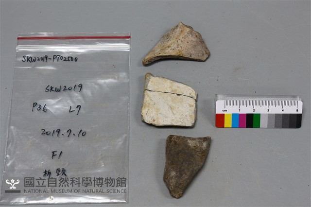 陶片藏品圖，第2張