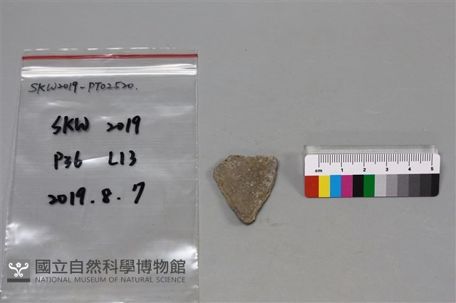 陶片藏品圖，第2張