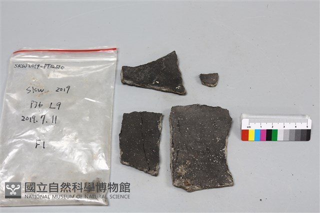 陶片藏品圖，第2張