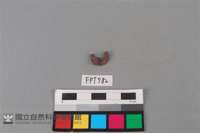 鐵器殘件藏品圖，第1張