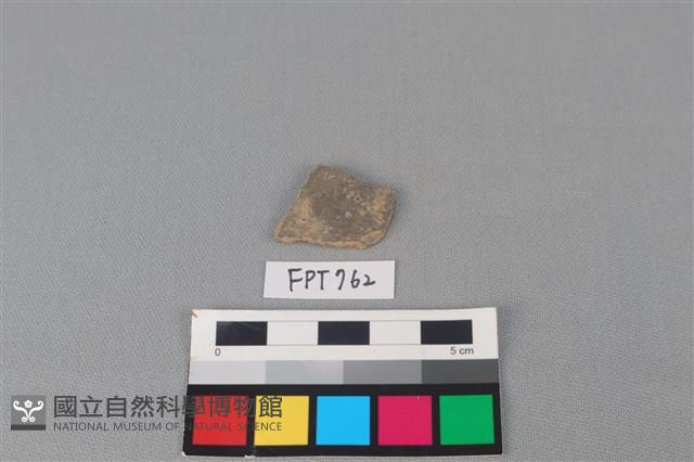 陶片藏品圖，第1張