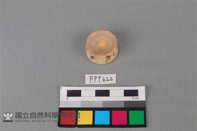 鯊魚骨藏品圖，第1張