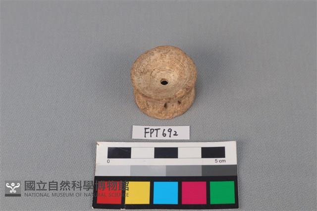 鯊魚骨藏品圖，第1張