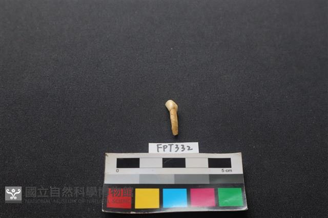 鹿骨藏品圖，第1張