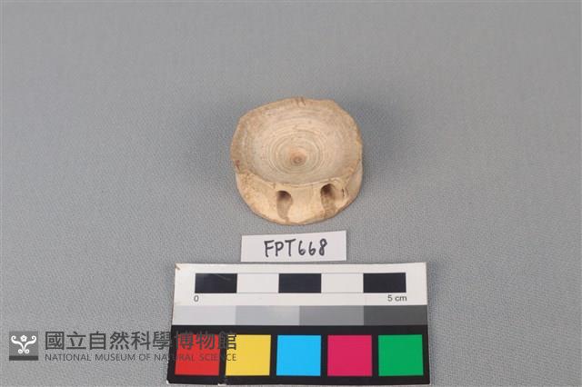 鯊魚骨藏品圖，第1張