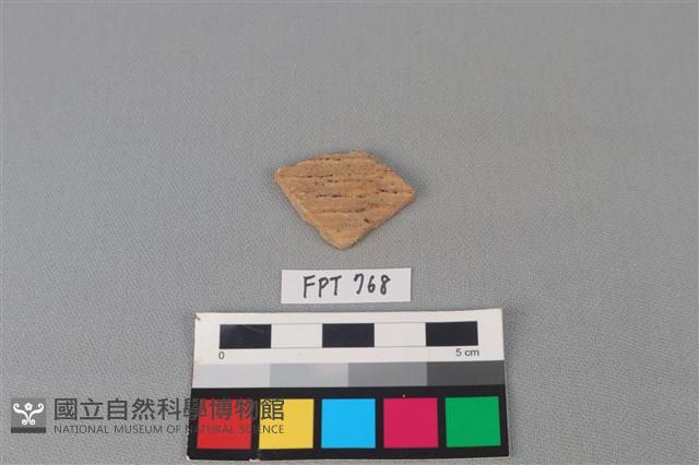 陶片藏品圖，第1張