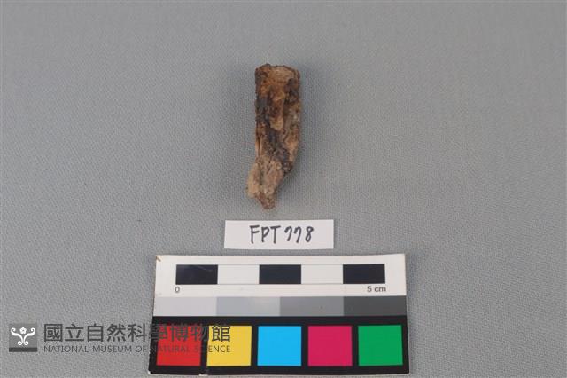 鐵器殘件藏品圖，第1張