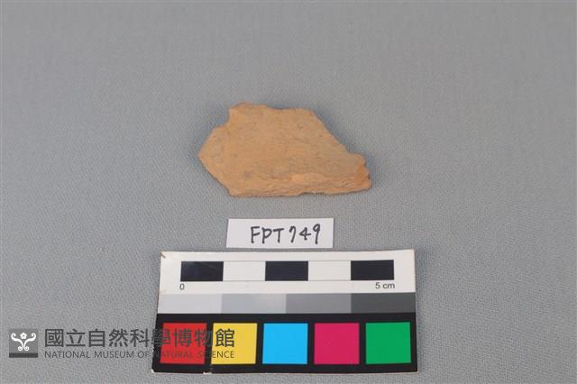 陶片藏品圖，第1張