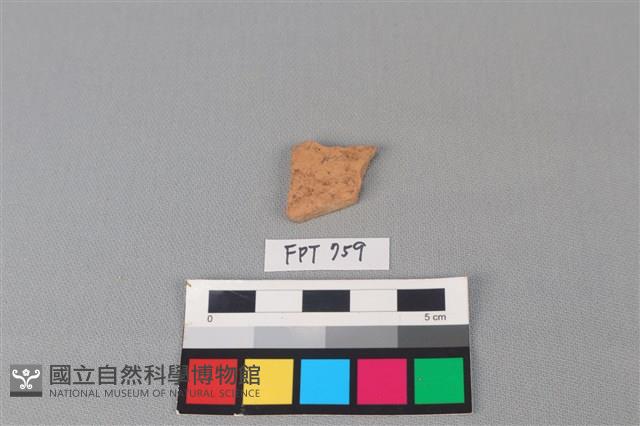 陶片藏品圖，第1張