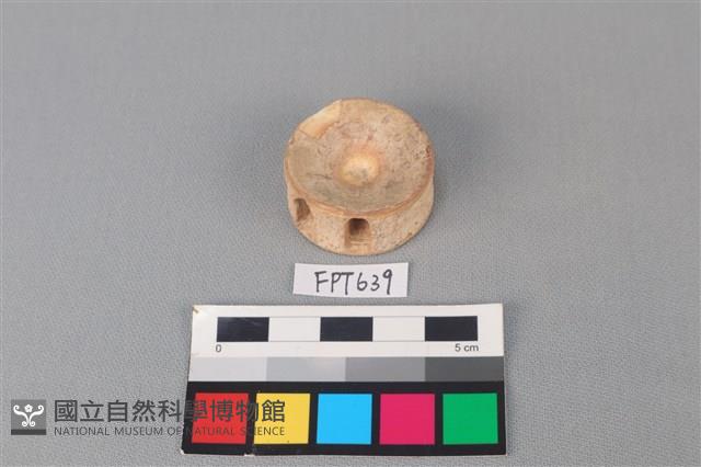 鯊魚骨藏品圖，第1張