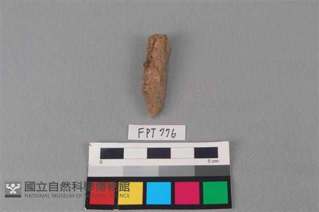 鐵釘藏品圖，第1張