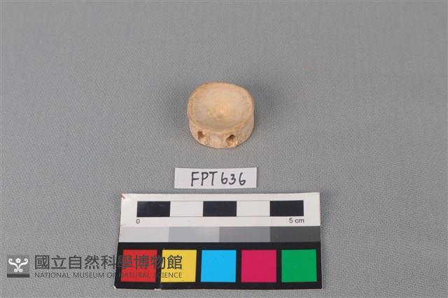 鯊魚骨藏品圖，第1張
