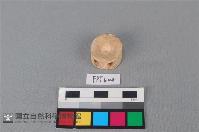 鯊魚骨藏品圖，第1張