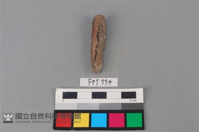 鐵釘藏品圖，第1張