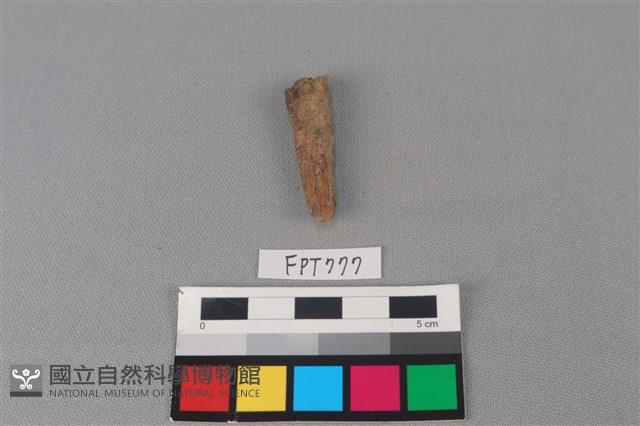 鐵釘藏品圖，第1張