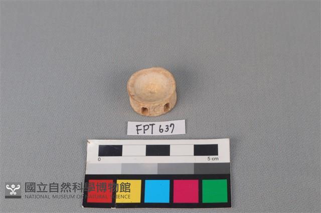 鯊魚骨藏品圖，第1張