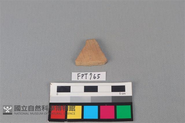 陶片藏品圖，第1張