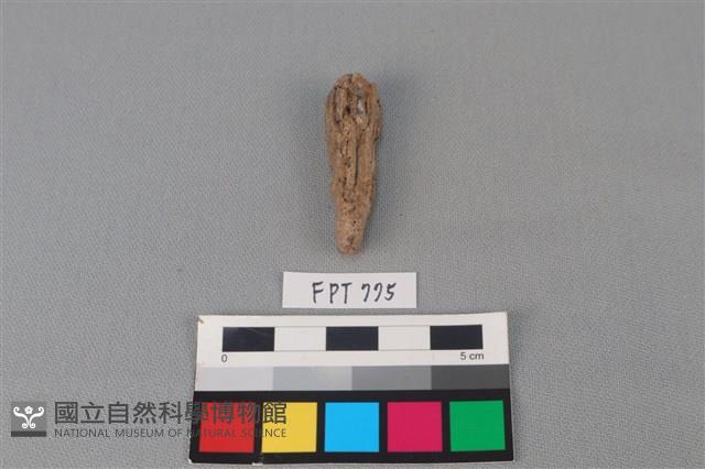 鐵釘藏品圖，第1張
