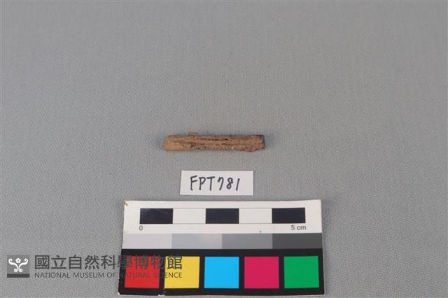 鐵器殘件藏品圖，第1張