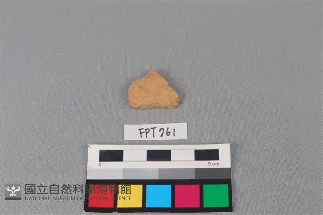 陶片藏品圖，第1張