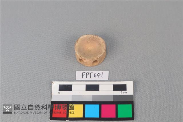 鯊魚骨藏品圖，第1張