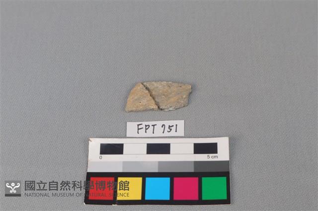 陶片藏品圖，第1張