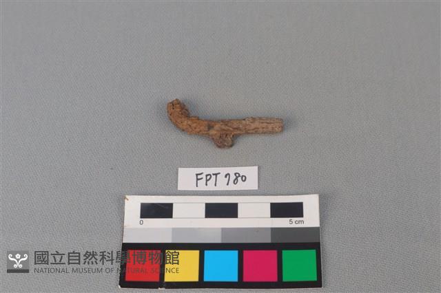鐵器殘件藏品圖，第1張