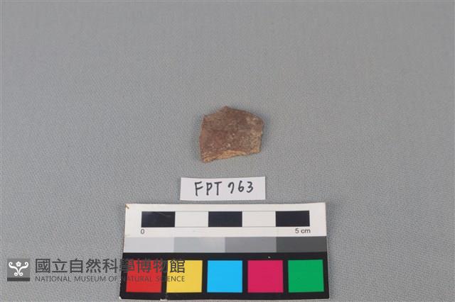 陶片藏品圖，第1張