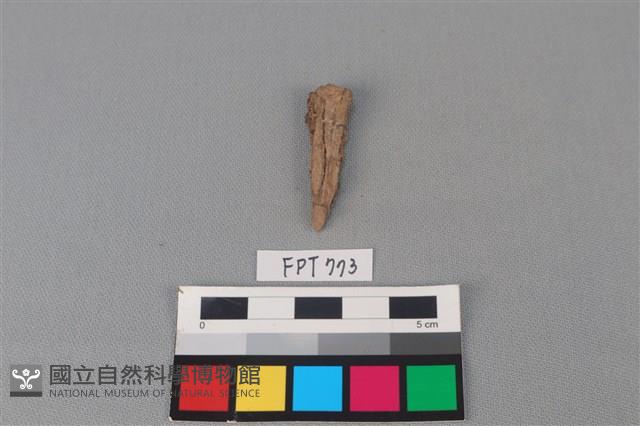 鐵釘藏品圖，第1張