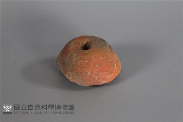 紡輪藏品圖，第1張