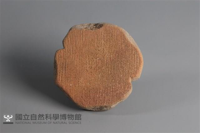 陶片藏品圖，第1張