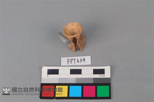 魚骨藏品圖，第4張