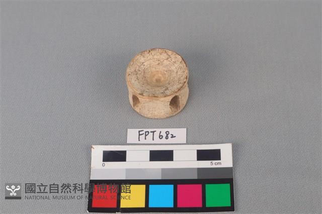 鯊魚骨藏品圖，第2張
