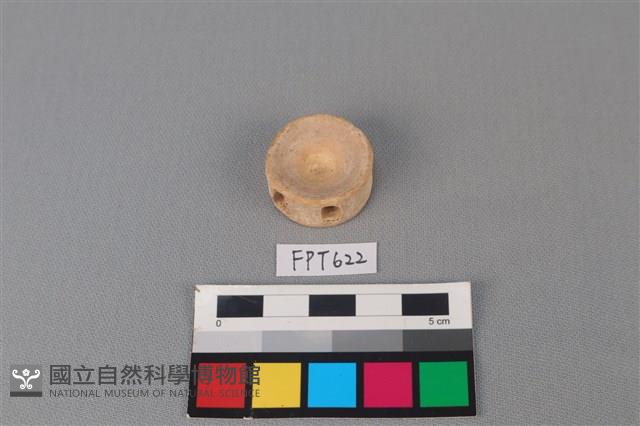 鯊魚骨藏品圖，第2張