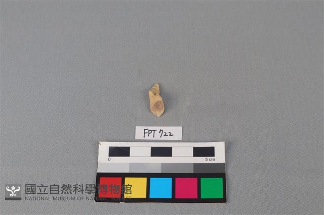 鹿骨藏品圖，第2張