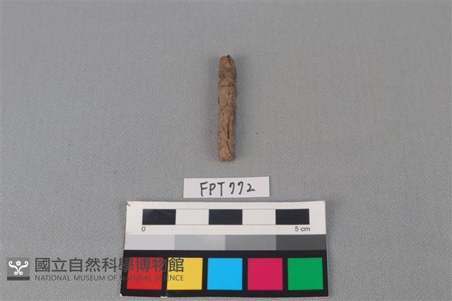 鐵釘藏品圖，第2張