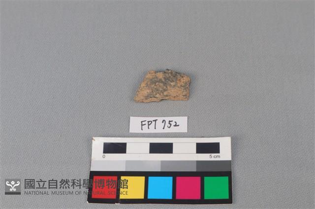 陶片藏品圖，第2張