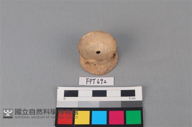 鯊魚骨藏品圖，第2張