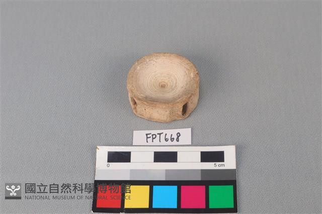 鯊魚骨藏品圖，第2張