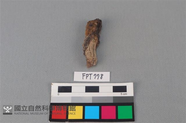 鐵器殘件藏品圖，第2張