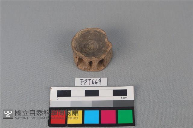 鯊魚骨藏品圖，第2張
