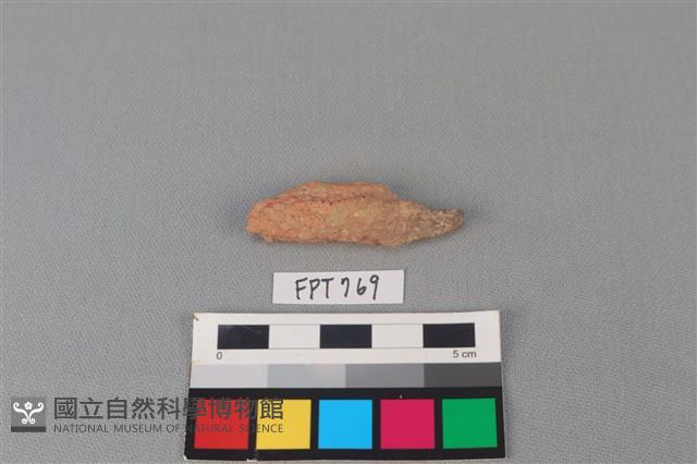 陶罐藏品圖，第2張