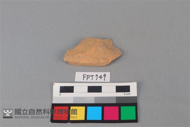 陶片藏品圖，第2張